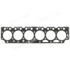 Head Gasket_arm1 For Deutz Engine TCD 2013 L06 Cylinder Head Gasket 04294195